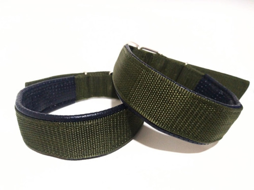 Collar Acolchonado Para Perros ( Mediano)