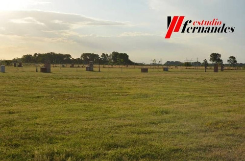 Imagen 5 de 6 de Terreno En Venta En Ezeiza