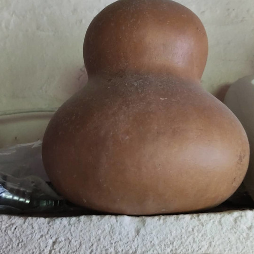 Sobre Calabaza Mate O Porongo 