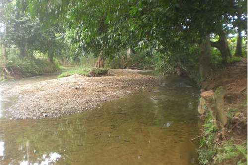 Te Vendo Finca Entre Imbert Y Puerto Plata,