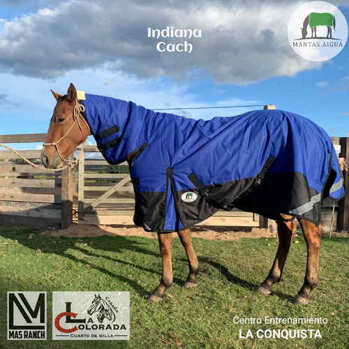 Imagen 3 de 10 de Manta Capa Caballo Importada (descuento Vta. Directa)