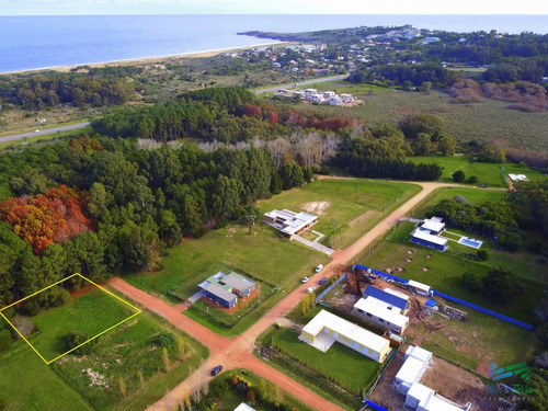 Venta Terreno En Punta Ballena Playa Mansa Punta Del Este Ruta Interbalnearea