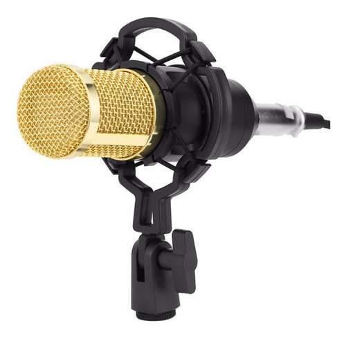 Imagen 7 de 10 de Microfono Condensador Profesional De Estudio Kit Tripode
