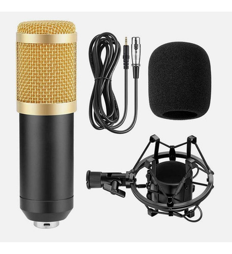 Microfono Condensador Bm800 Brazo Soporte Antipop Estudio Pc