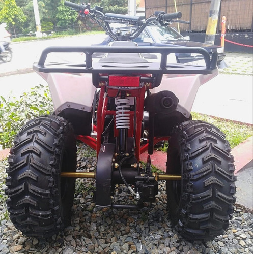 Cuatrimoto Polar 110 Motor 4t