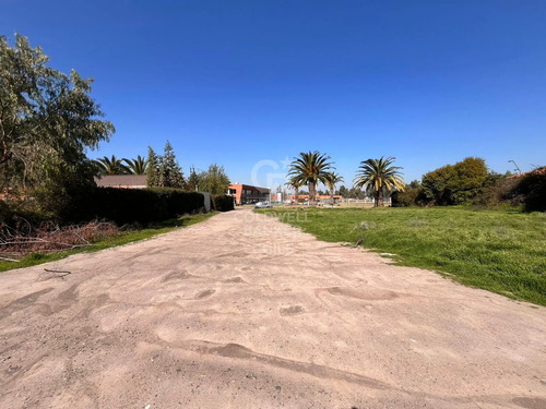 Sitio Comercial Sector El Algarrobal I.