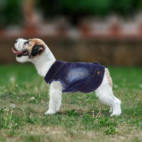 Chaleco Para Mascotas, Chaleco Otoñal Para Perros, Ropa Para