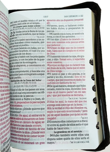 Imagen 2 de 3 de Biblia Reina Valera 1960 Letra Grande Pjr Simil Cuero Marrón