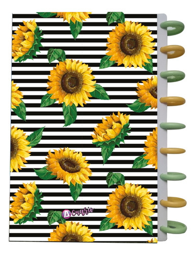 Cuaderno Discos T/frances 80hjs 105grs Pastadura 2 Separador Girasoles