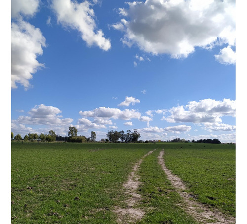 Vendo Muy Lindo Campo Sobre Ruta 33 Casa Todo Alambrado En 4 Potreros, Aguadas