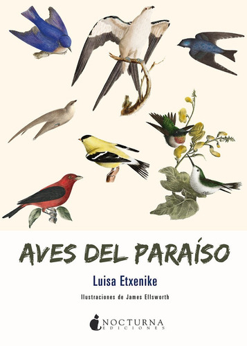 Aves Del Paraiso - Etxenike,luisa (paperback)