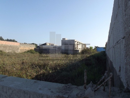 Imagem 9 de 13 de Terreno - Te00035 - 32363942