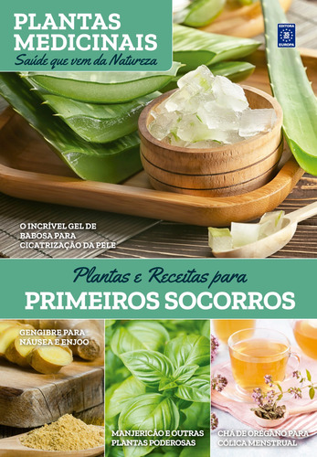 Plantas Medicinais Volume 7: Plantas e Receitas para Primeiros Socorros, de Feitoza, Marilua. Editora Europa Ltda., capa mole em português, 2022