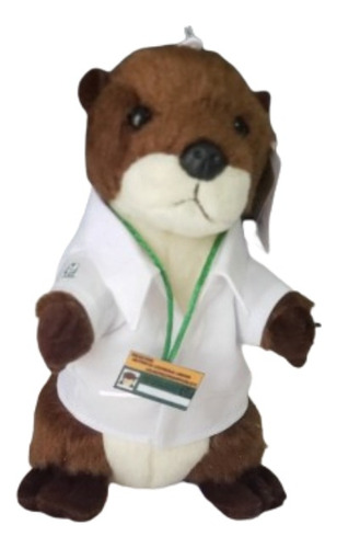 Peluche Nutria Aurora Nutrióloga Imss