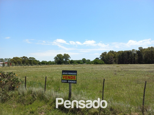 Imagen 2 de 18 de En Venta 1 Hectarea Con Servicios