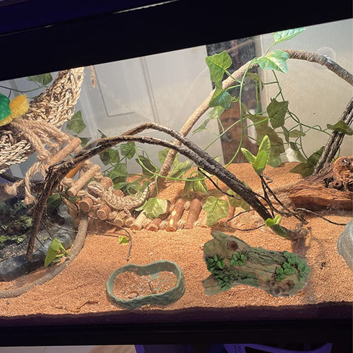 Decoración De Hábitat Para Reptiles Tronco Hueco De Resina