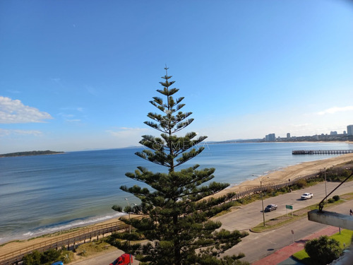 Alquiler Y Venta De Apartamento De 3 Dormitorios En Punta Del Este