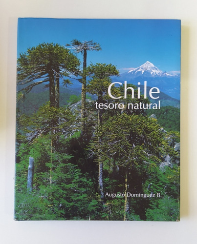 Imagen 1 de 1 de Chile Tesoro Natural (fotografía) / Augusto Domínguez B.