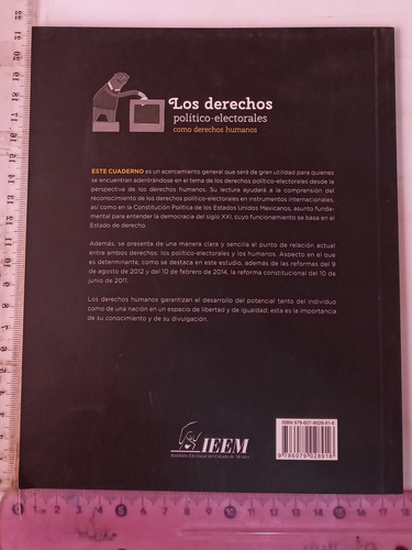 Los Derechos Político Electorales Armando Hernández Cruz (Usado)