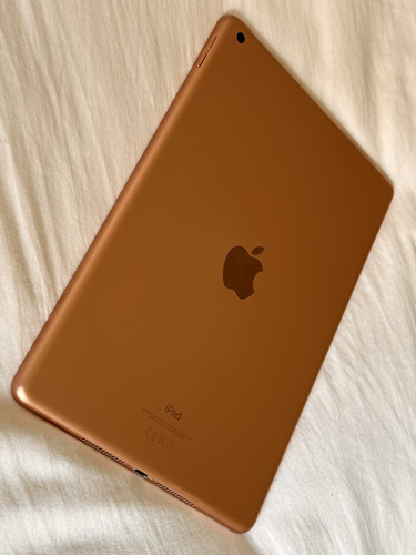 iPad 7 Wifi 128 Gb Rose Gold Con Case Y Apple Pencil (Usado)