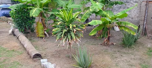 Lote En Playa Salguero Zona De Gran Desarrollo Inmobiliario Oportunidad De Inversión Para Valorización