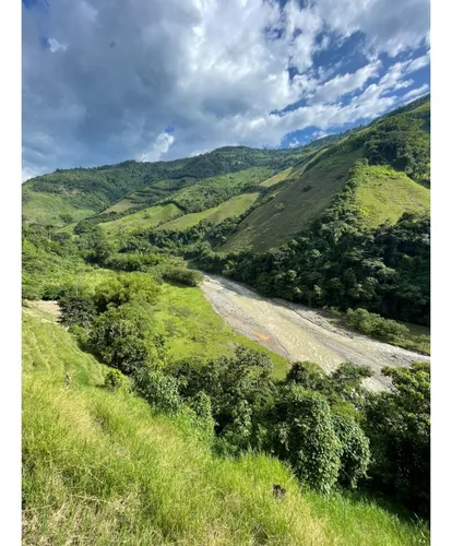 Venta Finca Productiva 132 Hectáreas Entre Pácora Y Salamina, Caldas
