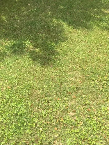 Vendo Mansión Semi Nueva Club De Golf Hacienda De Gran Lujo