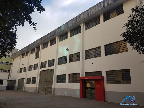 Imagem 6 de 11 de Galpão - Gl00031 - 68828153