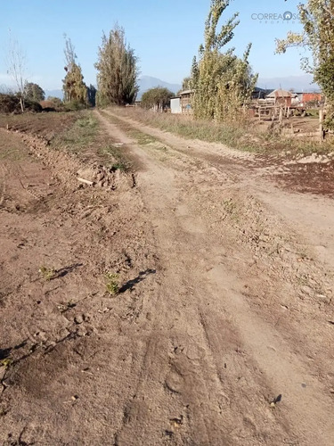 Terreno En Venta En Teno