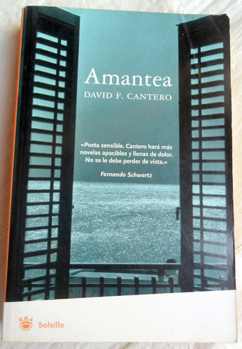 Amantea - David F. Cantero * Novela