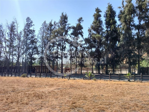 Imagen 6 de 12 de Sitio Venta San Guillermo