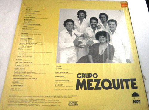 Grupo Mezquite - Disco Cumbia Española Lp (Usado)