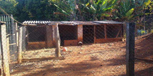 Imagem 8 de 15 de Sítio Para Venda Em Tuiuti, Centro, 4 Dormitórios, 1 Suíte - 70_1-2380453