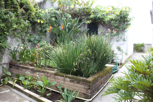 Venta Y Renta De Casa Sola Frente Al Lienzo Charro, Cuernavaca Morelos