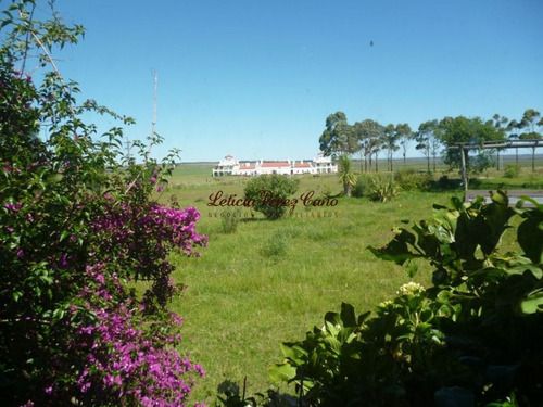Imagen 5 de 17 de Casa En Venta En Jose Ignacio