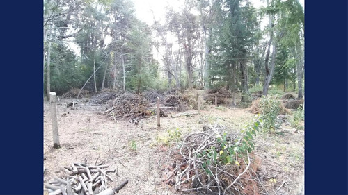 Imagen 4 de 26 de Venta Lote/terreno De 4955.50 M2 Cauquen 100 Altos De Manzano Villa La Angostura