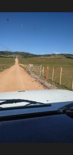 Imagen 16 de 17 de Campo Cerca Ruta 39 En Las Cañas - San Carlos