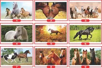 Comprar Vinilos Decorativos Caballos Corriendo Murales 130x70cm