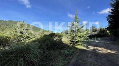 Imagen 23 de 27 de Terreno En Venta Salazar, Estado De México