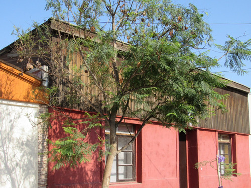 Excelente Mantención, Barrio Tranquilo, Clásico
