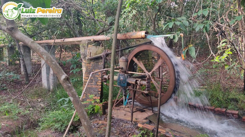 Imagem 14 de 15 de Fazenda Á Venda Em Corguinho/taboco - Ms -551 Hectares (dupla Aptidão) - 2237