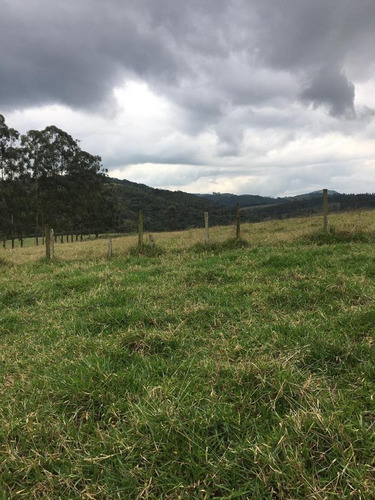 Imagem 12 de 30 de C03- Terreno Em Igaratá / Todas Topografias