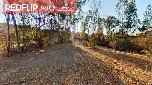 Imagen 13 de 16 de Terreno 10.000 M2/ Los Aromos/ Villa Alemana