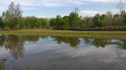 Imagen 6 de 14 de Lote 43 En El Delta Cornamusa Complejo Eco Turístico