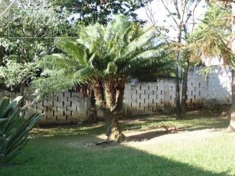 Imagem 10 de 10 de Rural A Venda - 2486405