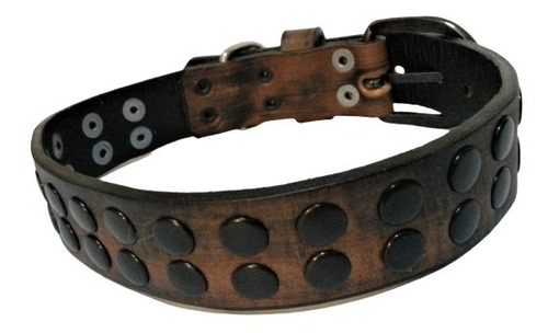 Collar Cuero Ideal Perro Tipo Salchicha, Bulldog Frances