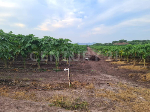 Venta Rancho Los Asmoles Colima