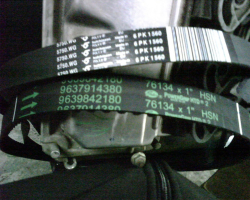Imagen 4 de 10 de Service Distribucion Renault Clio/kangoo/ Megane/sandero/k4m