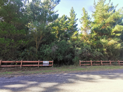 Imagen 5 de 11 de Condominio A Solo 5 Km Del Centro De Pucon