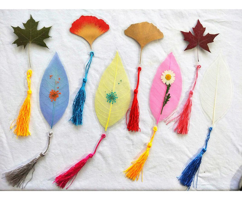 Artesanía Multi Color Esqueleto Hojas Para Diy De Magnolia